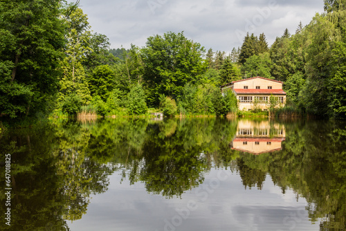 Grieseluv rybnik pond near Jetrichovice, Czech Republic