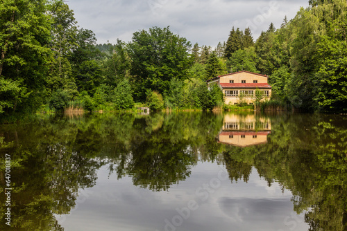 Grieseluv rybnik pond near Jetrichovice, Czech Republic