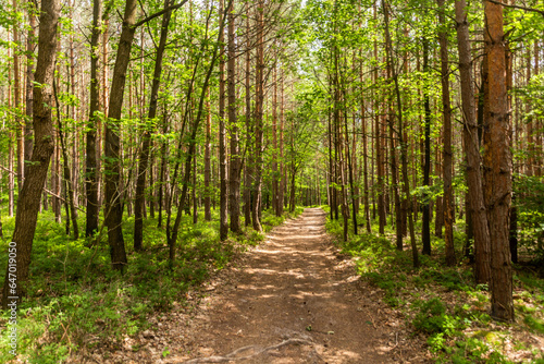 Hiking trail in the Protected Landscape Area Kokorinsko - Machuv kraj, Czech Republic photo