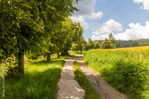 Path in meadows near Dolni Cermna, Czech Republic
