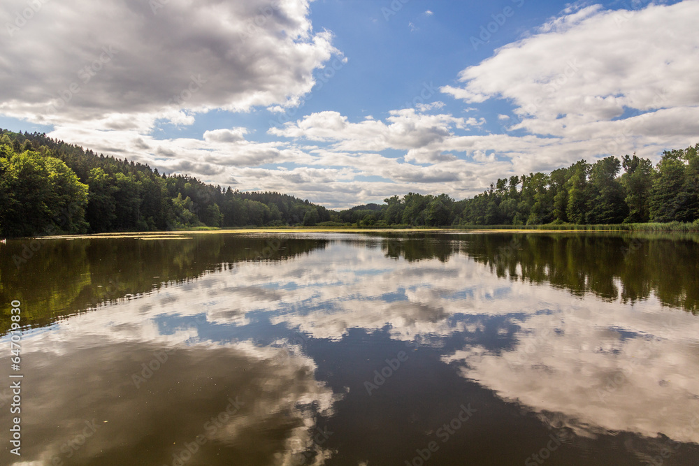 Olsovy rybnik pond near Lanskroun, Czech Republic