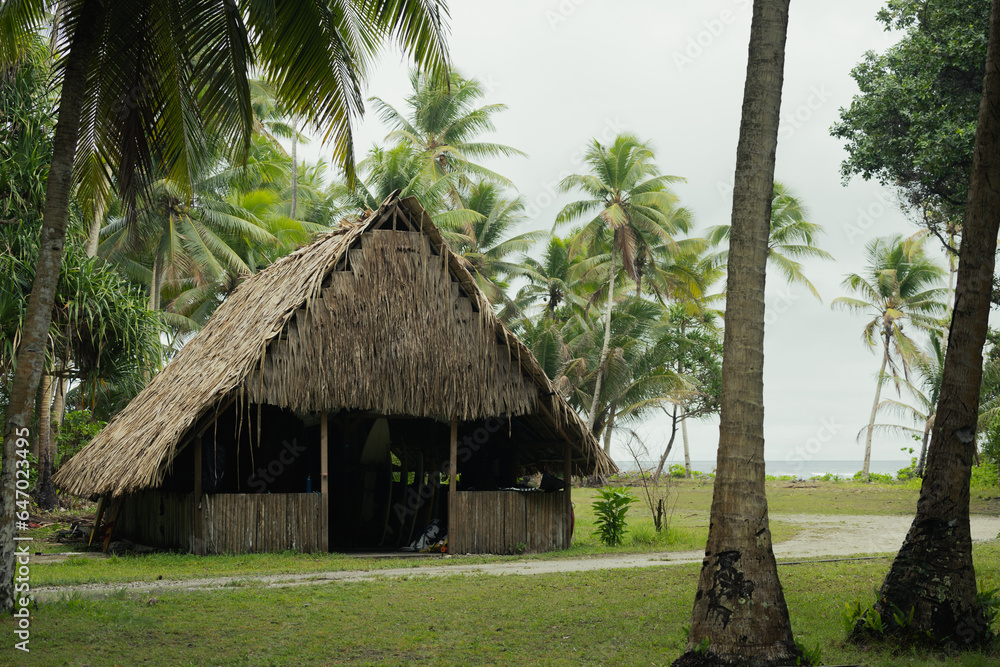 Grass Hut Grass Hut