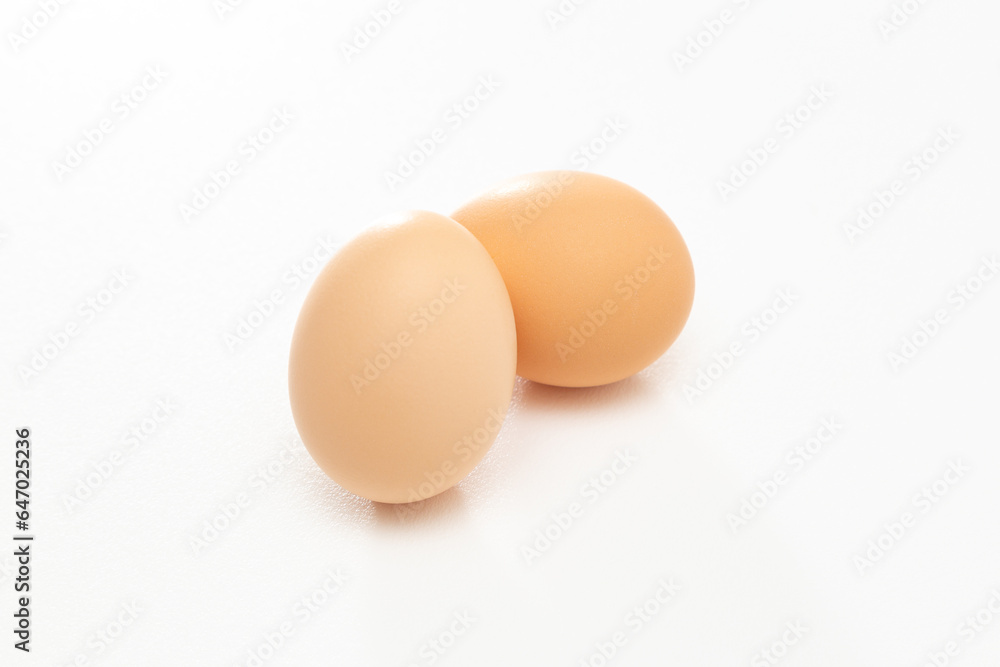 白背景に卵