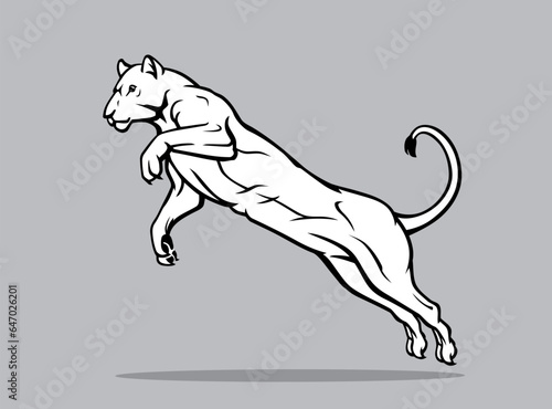 Lioness Leaping Attack, Wild Predator Animal Hunt