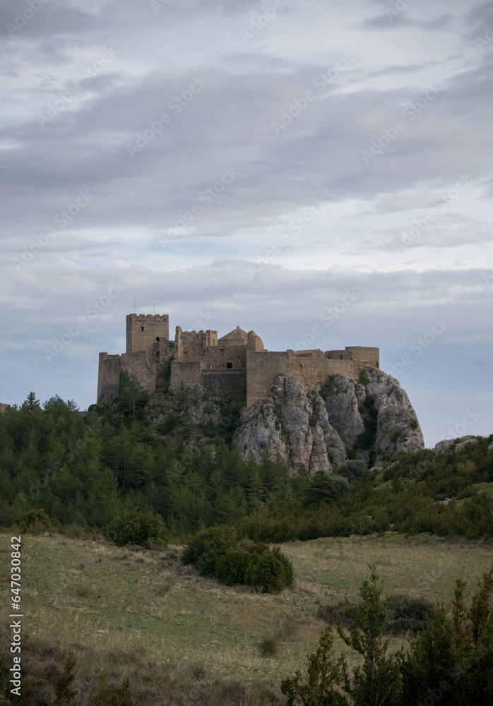 Castillo medieval recortado sobre el horizonte con fondo de nubes
