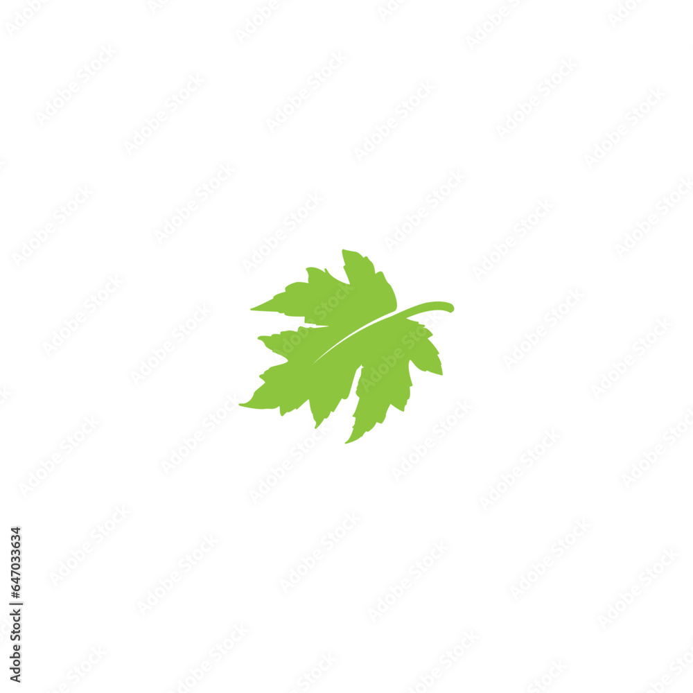 maple leaf graphic vector illustration and imagination maple leaf graphic vector illustration and imagination