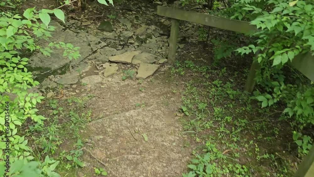 Walking down dirt path into woods over dry creek bed