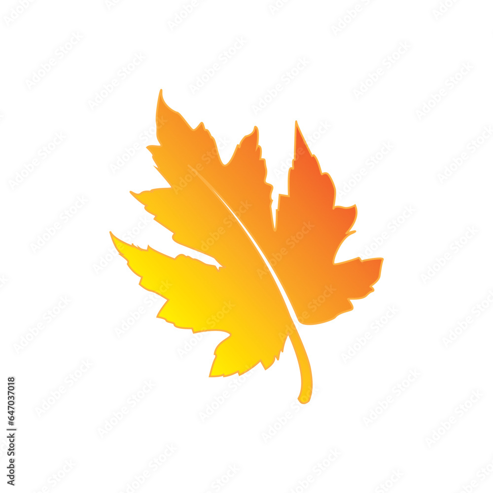 Obraz premium maple leaf graphic vector unique illustration 00