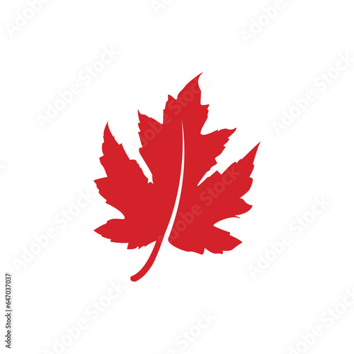 maple leaf graphic vector unique illustration