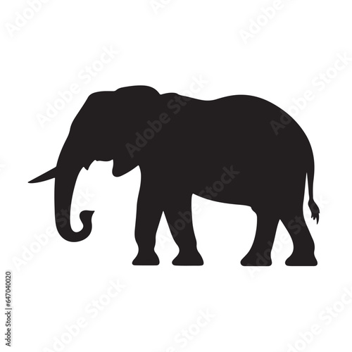 Fototapeta Naklejka Na Ścianę i Meble -  elephant silhouette