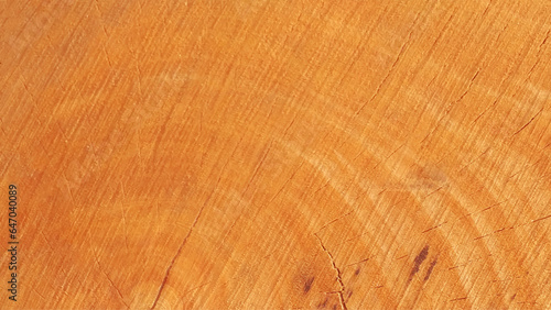 Wood texture image. Vector illustrator