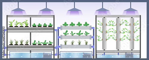 Hydroponic indoor vegetable plant vector illustration, agriculture industry, Ventilator and special LED light belt above the lettuce, hydroponic farm concept, vertical hydroponic gardens