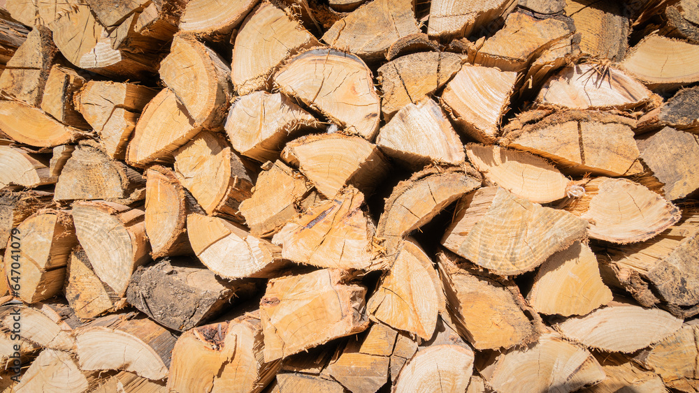 Leños/leña cortada para fogata o chimenea. Leños/leña cortada para fogata o chimenea.