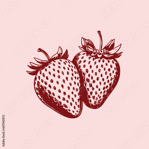 Strawberry illustration hand drawn vintage vector