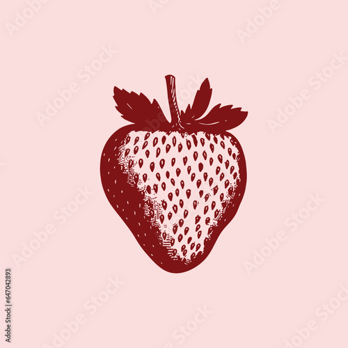 Strawberry illustration hand drawn vintage vector