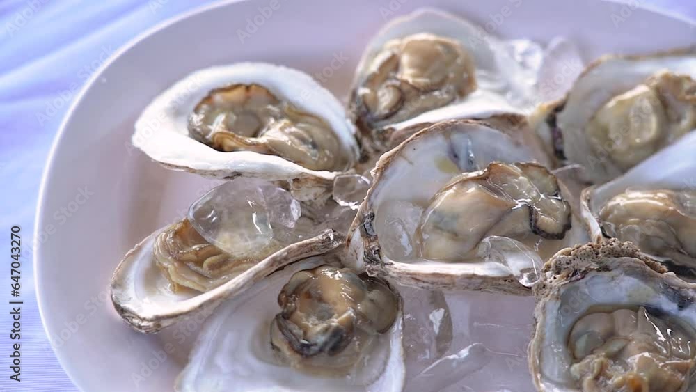 Fresh oysters from the seas of Thailand, placed on a plate, ready to eat. Fresh oysters from the seas of Thailand, placed on a plate, ready to eat.