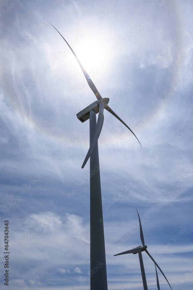 Clean green energy generation, closeup of wind turbines on a wind farm with sun halo in background
Clean green energy generation, closeup of wind turbines on a wind farm with sun halo in background
