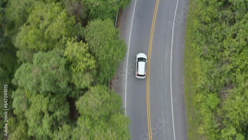 Aerial view from drone of jungle road with passing car between green palm trees, road trip across tropics, adventure concept, high quality