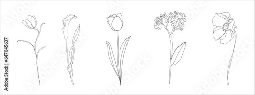 Set of abstract flower line art. Aesthetic flower line art. Set of single line art beauty flower