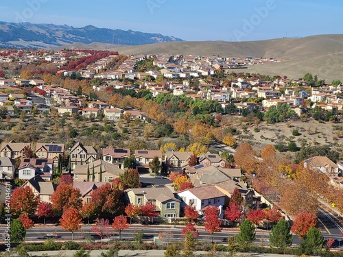 Yellow and Red foliage of Sycamore and Callery Pear trees line the streets of San Ramon Valley in November photo