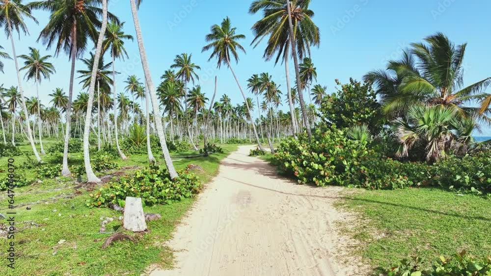 Tall palm trees stand on the shore of the beautiful sea sandy beach of Thailand. Amazing exotic seascape. Tropical palm island background. Natural sunny day landscape. Tall palm trees stand on the shore of the beautiful sea sandy beach of Thailand. Amazing exotic seascape. Tropical palm island background. Natural sunny day landscape.