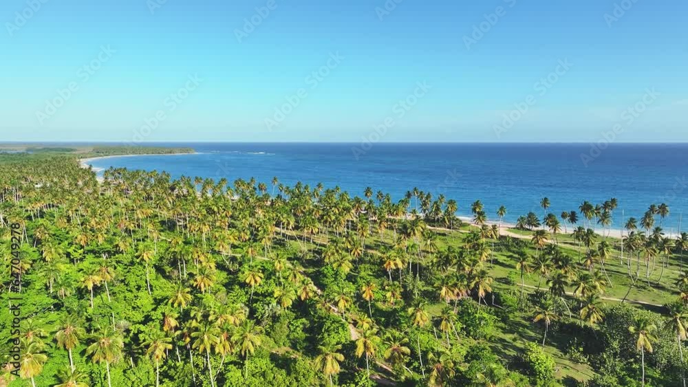 Aerial view of a Thai tropical beach with palm trees and azure sea. Palms, sea, waves and sky. Nature summer tourism concept in Phuket. Clean sandy beach of the Thai coast on a sunny summer day. Aerial view of a Thai tropical beach with palm trees and azure sea. Palms, sea, waves and sky. Nature summer tourism concept in Phuket. Clean sandy beach of the Thai coast on a sunny summer day.