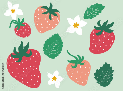Red and Pink Berries with Leafs and Flowers Illustration