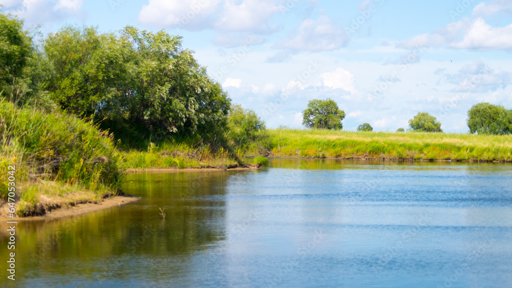 Fototapeta premium Nature of the island. The Russian Far East. Bolshoy Ussuriysky Island on the border with China near Khabarovsk.