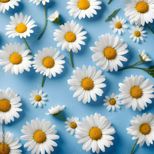 Daisy pattern. Flat lay spring and summer chamomile flowers on a blue background. Repetition concept. Top view. AI generative.