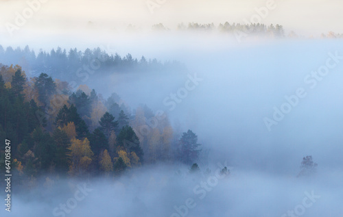 Mist over the forest and valley, aerial view, fall © Valerii