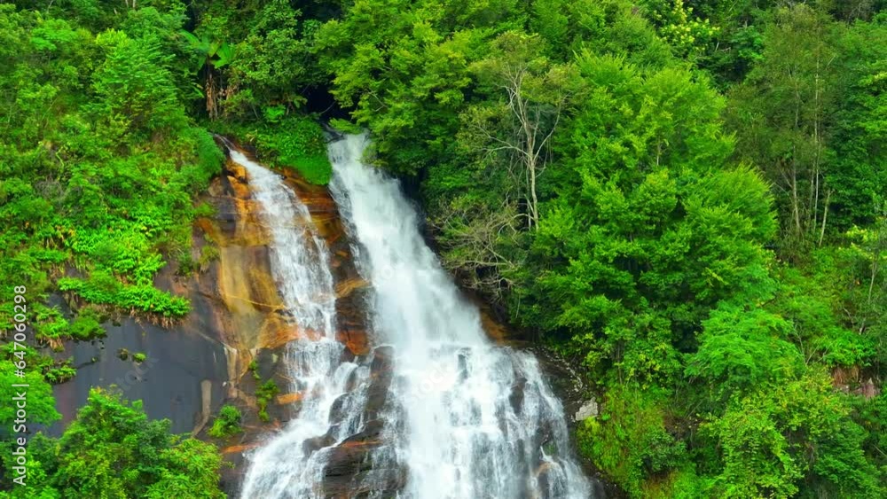 The beauty of the waterfall in the heart of the tropical forest. It's a reminder of the awe-inspiring wonders that nature has to offer, and the importance of preserving these precious ecosystems. 4K.
The beauty of the waterfall in the heart of the tropical forest. It's a reminder of the awe-inspiring wonders that nature has to offer, and the importance of preserving these precious ecosystems. 4K.