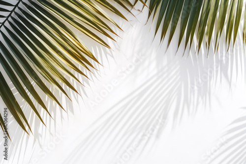 Palm tree shadow on white sand background. Summer holiday.