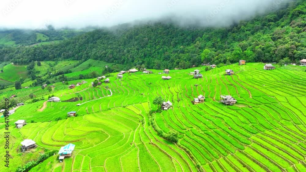 The Pa Pong Piang rice terraces in Chiang Mai, Thailand, are a breathtaking natural wonder that showcases the harmonious relationship between humans and the environment. Rice field background.
The Pa Pong Piang rice terraces in Chiang Mai, Thailand, are a breathtaking natural wonder that showcases the harmonious relationship between humans and the environment. Rice field background.