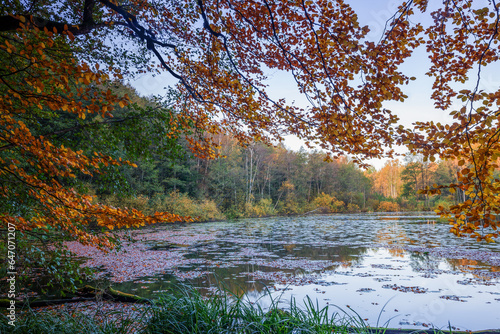 Fototapeta Naklejka Na Ścianę i Meble -  Jesień na Mazurach w północno-wschodniej Polsce.