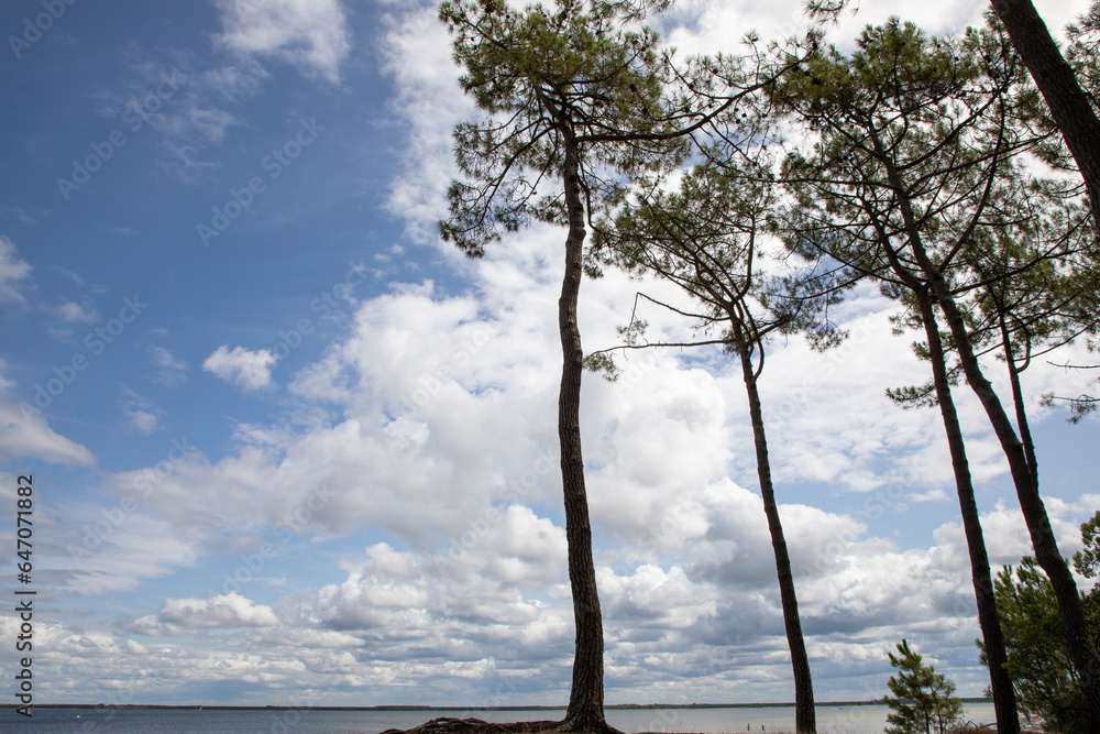 lake beach with blue water and sky in carcans Bombannes in Gironde france lake beach with blue water and sky in carcans Bombannes in Gironde france