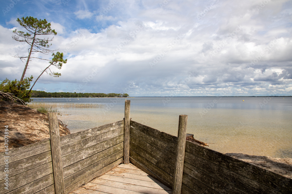 wooden palisade barrier front to sandy beach Maubuisson Carcans lake water in southwest france