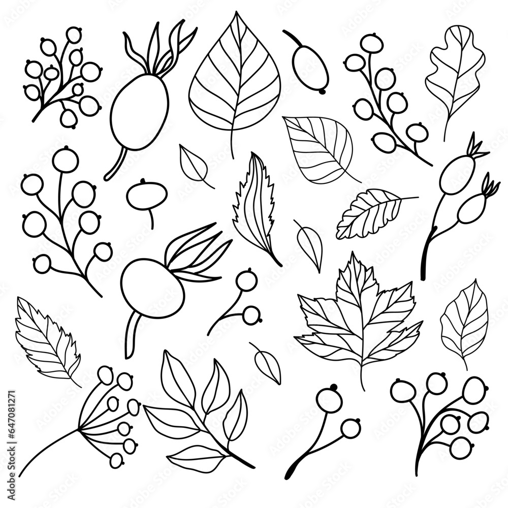 Fototapeta premium Set of flat isolated illustration of leaves and berries in cozy autumn colors. hand drawn vector decor for scrapbooking, textile or book covers, wallpapers, graphic art, printing, hobby, invitation.