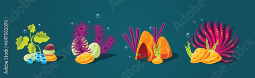 Fantasy Sea Plants with Corals and Stones on Ocean Bottom Vector Set