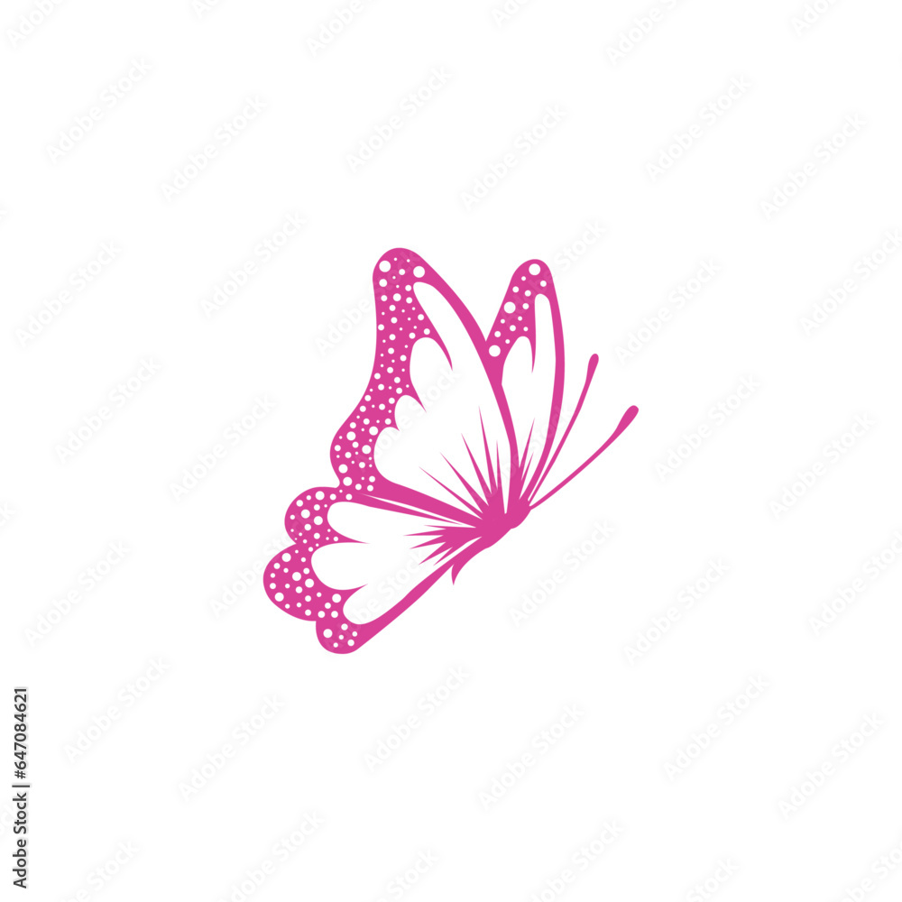butterfly butterfly
