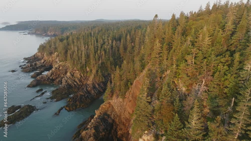 Gorgeous Pan from Sun-Kissed Rocks to Forested Landscape on Maine's Bold Coast Gorgeous Pan from Sun-Kissed Rocks to Forested Landscape on Maine's Bold Coast