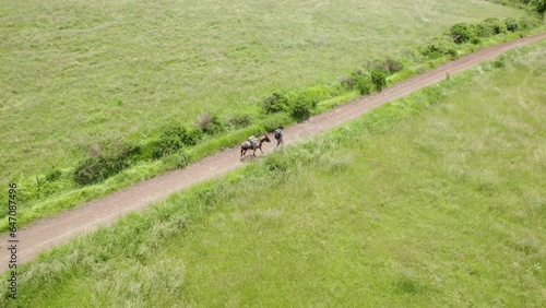 Hiking With A Donkey in France on the Famous Stevenson Trail Accross the Cevennes photo