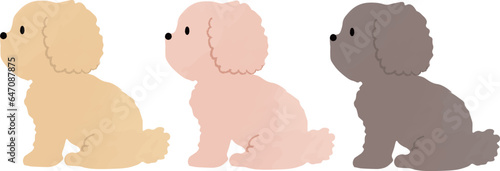 手書き風のシンプルなかわいいトイプードルのイラスト　おすわり　主線なし
