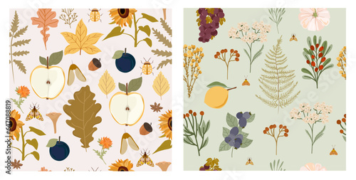 Collection of autumn seamless pattern. Fall leaves, harvest, wild flowers, mushrooms, plants. Editable vector illustration