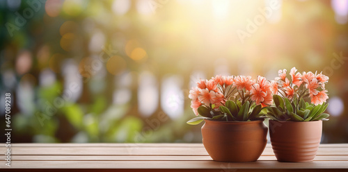 Colorful arrangement of potted flowers on a rustic wooden table