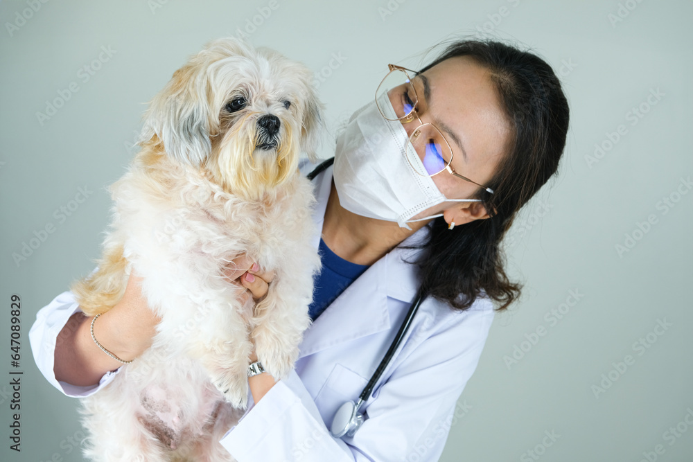 A female veterinarian holds a dog lovingly. She has just examined the dog's health.Veterinary animal treatment concept A female veterinarian holds a dog lovingly. She has just examined the dog's health.Veterinary animal treatment concept
