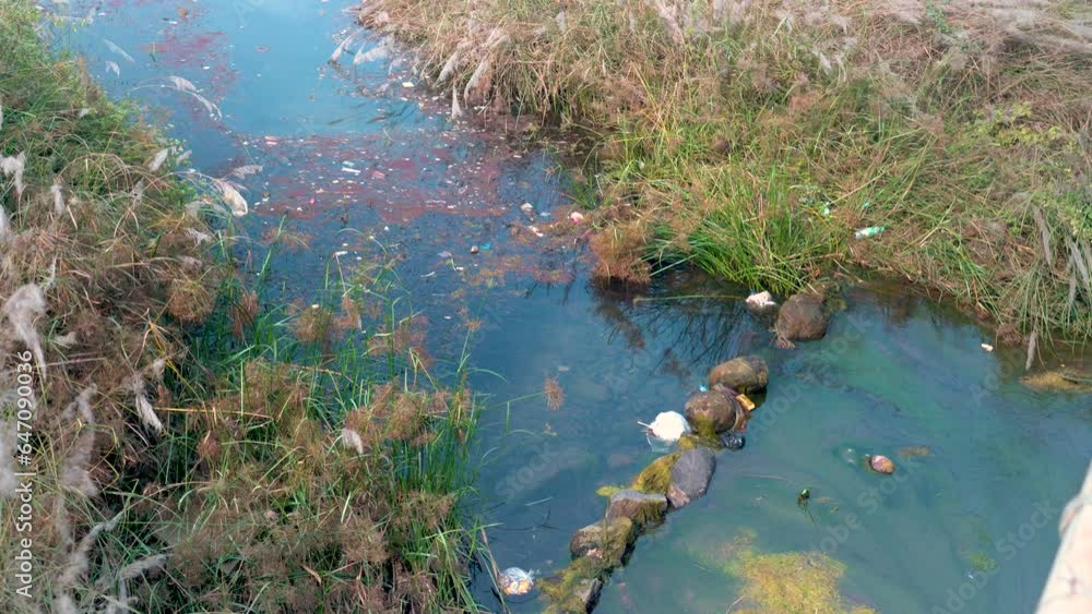 In India, addressing air and water pollution and mitigating environmental damage is imperative for a sustainable and healthy future. In India, addressing air and water pollution and mitigating environmental damage is imperative for a sustainable and healthy future.