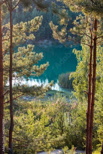 Fototapeta Naklejka Na Ścianę i Meble -  Blue lake in a pine forest, vertical photo