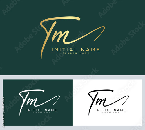 TM T M initial Signature logo
