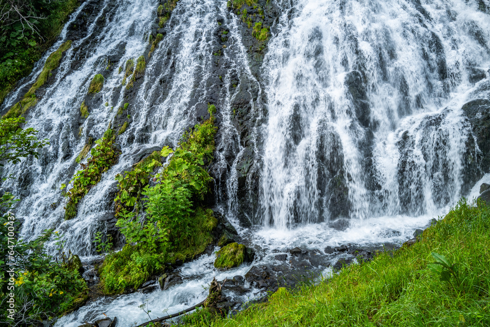 Obraz premium 知床半島 オシンコシンの滝