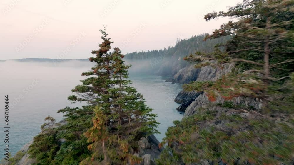 Drone Shot Through Trees Reveals Fog-Enshrouded Maine Bold Coastline Drone Shot Through Trees Reveals Fog-Enshrouded Maine Bold Coastline